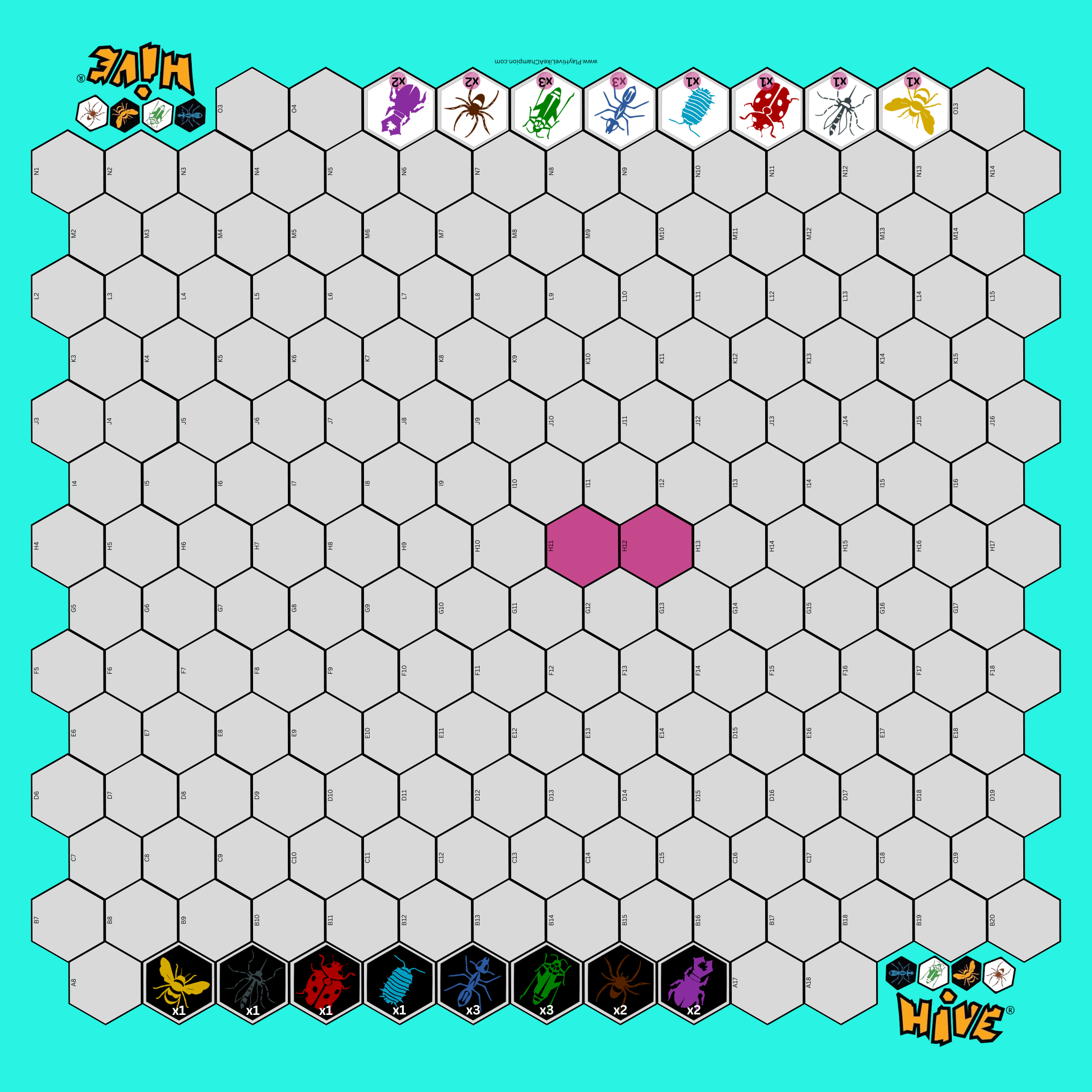 Hive Play Mat (double sided)