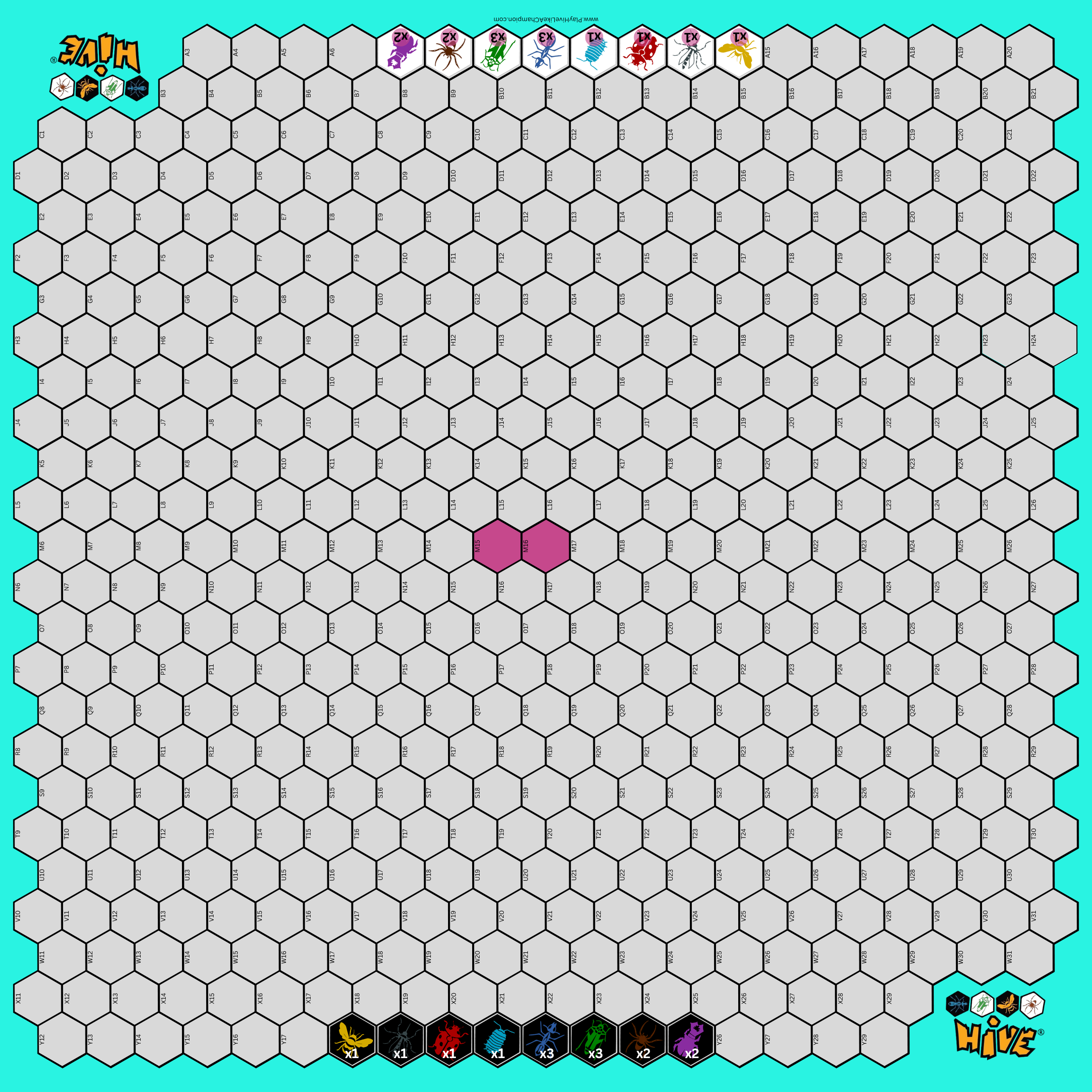 Hive Play Mat (double sided)